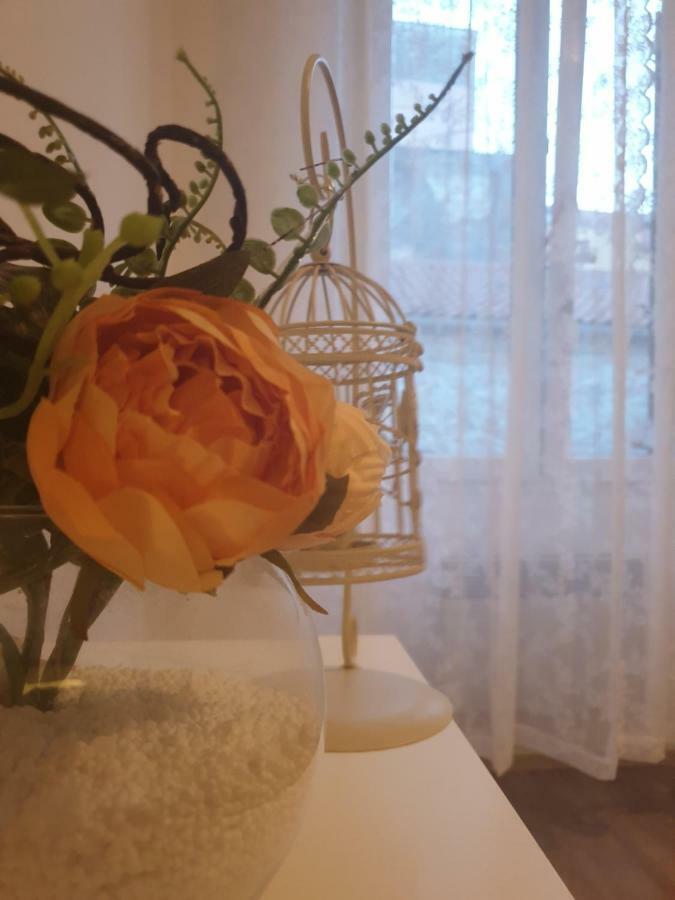 Stella Apartment Sibenik Charm&History United Extérieur photo